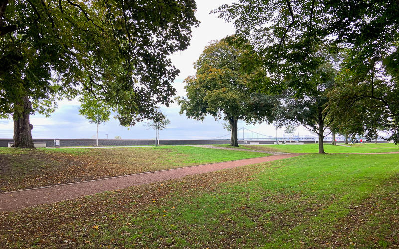 Rheinpromenade vor der Haustüre