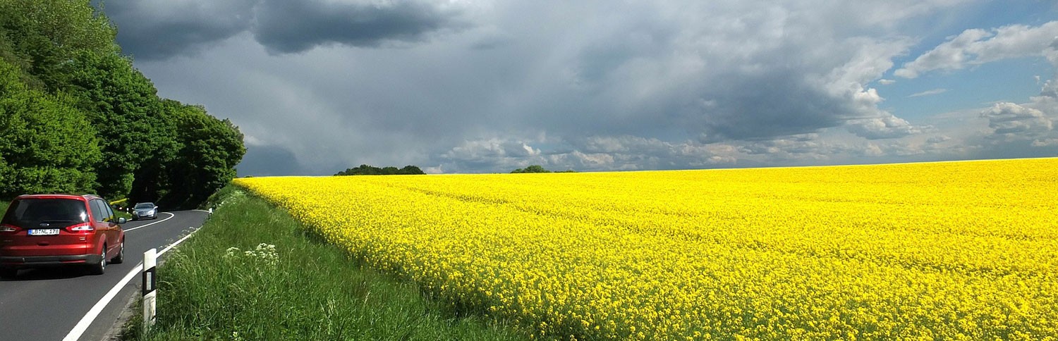 Immobilienmakler in Mettmann für den Verkauf von Immobilien