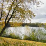 Direkter Zugang zum Grünen See
