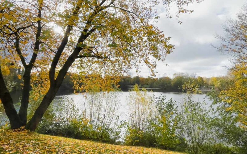 Direkter Zugang zum Grünen See
