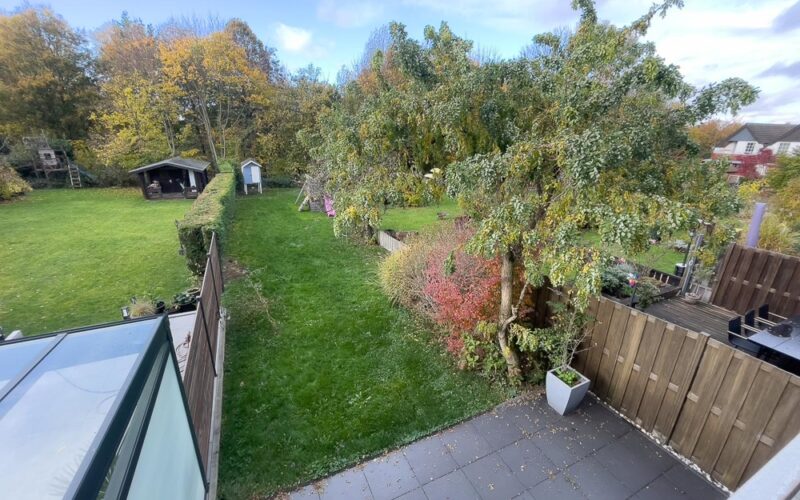 Blick in den Garten