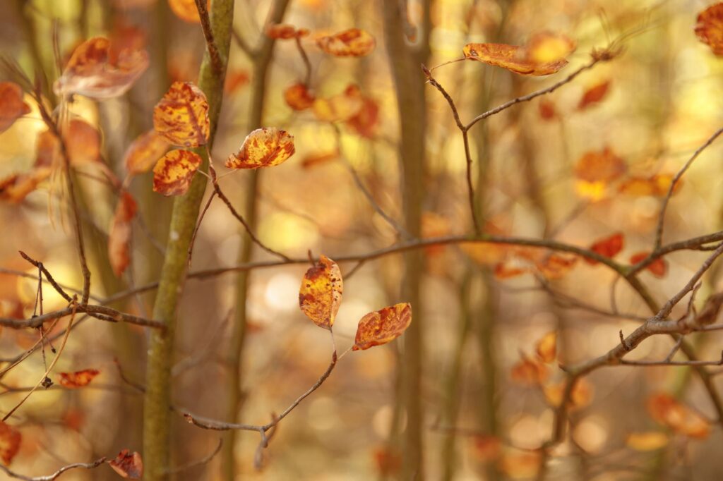 Immobilienmakler in Düsseldorf - Bild 39